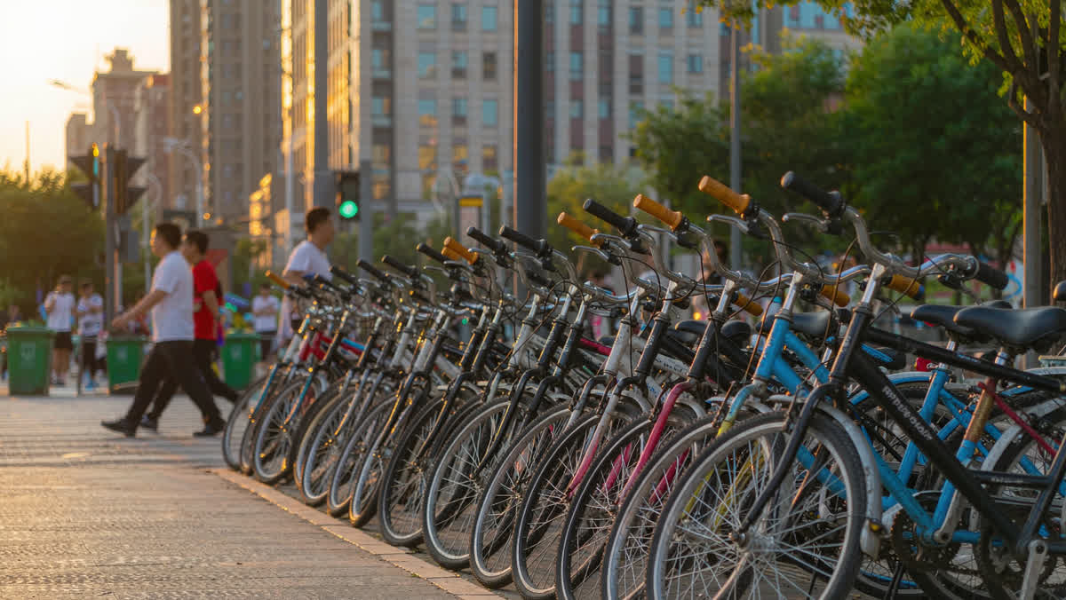 A long orderly row of parked shared bicycles lining a Chinese city sidewalk at golden hour.
